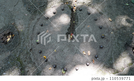 【日本】猿島の砲台跡(神奈川) 【日本】猿島の砲台跡(神奈川) 110539771