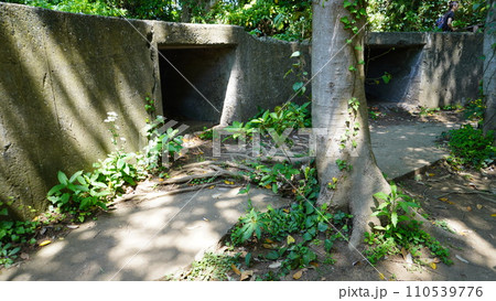 【日本】猿島の砲台跡（神奈川） 110539776