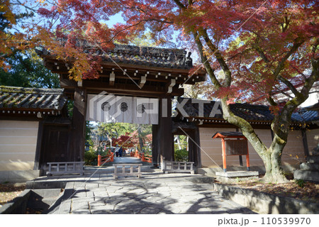 秋の今宮神社 東門 京都市北区紫野 秋の今宮神社 東門 京都市北区紫野 110539970