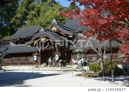 秋の今宮神社 本殿 京都市北区紫野 秋の今宮神社 本殿 京都市北区紫野 110539977