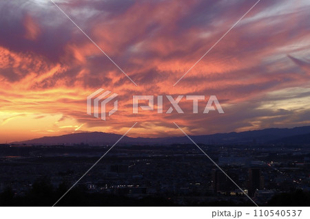 JOYO City Lights 110540537