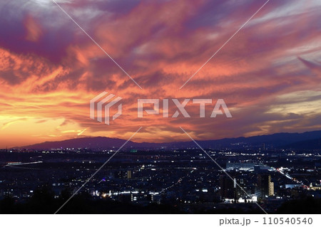 JOYO City Lights 110540540