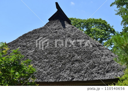 アジサイが咲き乱れる青龍山吉祥寺 110540656