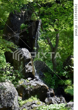 アジサイが咲き乱れる青龍山吉祥寺 110540662