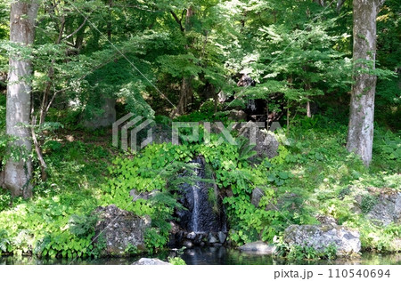 アジサイが咲き乱れる青龍山吉祥寺 110540694