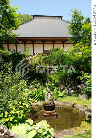 アジサイが咲き乱れる青龍山吉祥寺 110540741