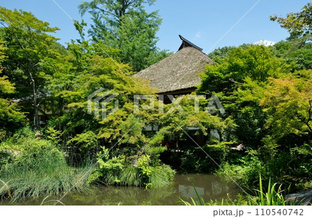 アジサイが咲き乱れる青龍山吉祥寺 110540742