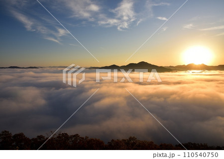 黒井城跡からの篠山盆地の丹波霧（雲海） 110540750