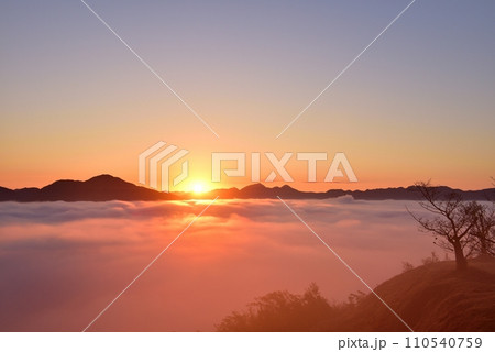 黒井城跡からの篠山盆地の丹波霧（雲海） 110540759