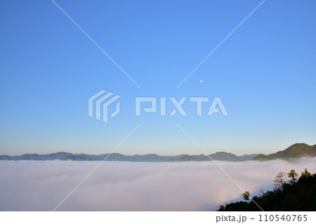 黒井城跡からの篠山盆地の丹波霧（雲海） 110540765