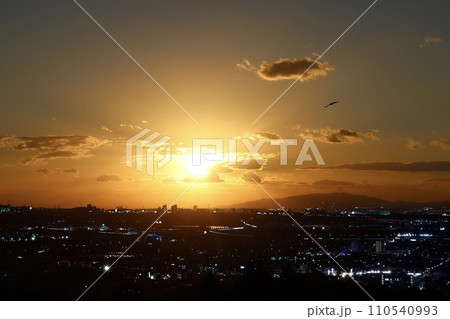 JOYO City Lights JOYO City Lights 110540993