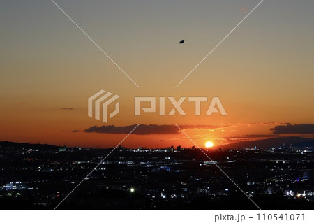 JOYO City Lights 110541071