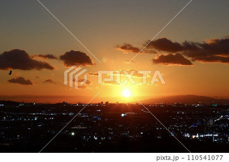 JOYO City Lights JOYO City Lights 110541077