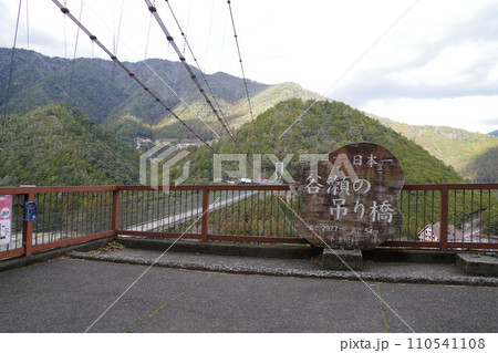 谷瀬の吊り橋 110541108