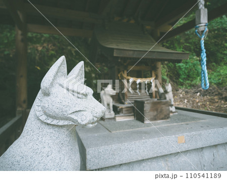 小さな稲荷神社のキツネの石像 110541189