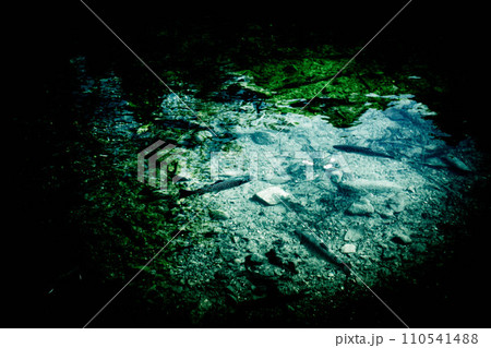 魚影～岩魚～ 110541488