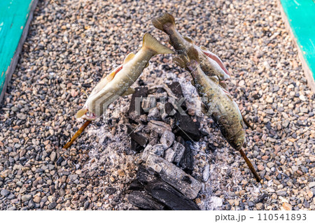 川魚の炭火焼～自然の恵み～ 110541893