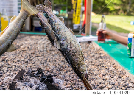 川魚の炭火焼~自然の恵み~ 川魚の炭火焼~自然の恵み~ 110541895