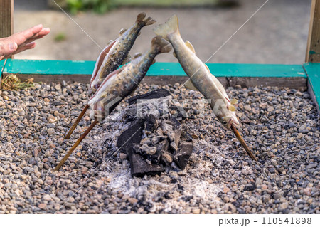 川魚の炭火焼～自然の恵み～ 110541898