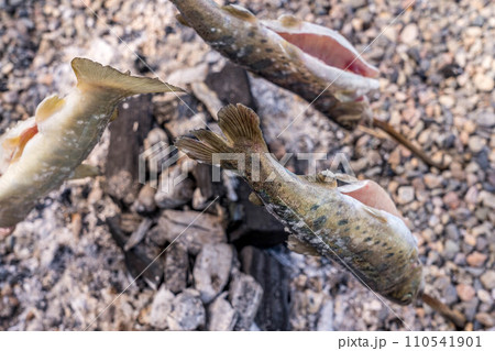 川魚の炭火焼～自然の恵み～ 110541901