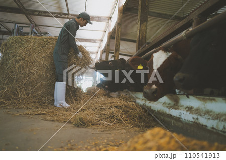 ranch ranch 110541913