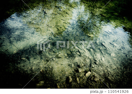 魚影～岩魚～ 110541926