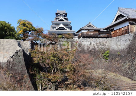熊本城 天守閣と本丸御殿 熊本城 天守閣と本丸御殿 110542157