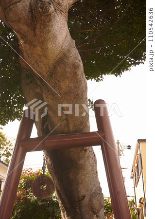 伊居太神社 110542636