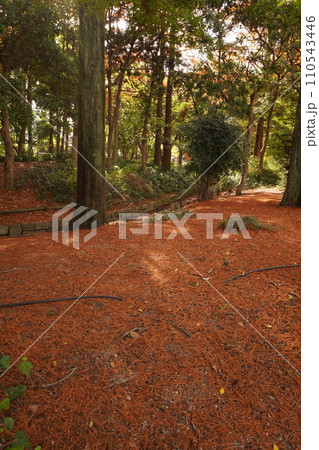 近松公園 近松公園 110543446