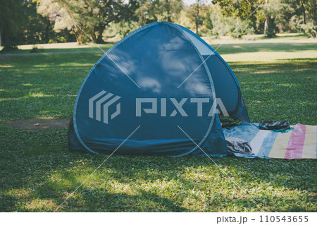 公園ピクニック 110543655