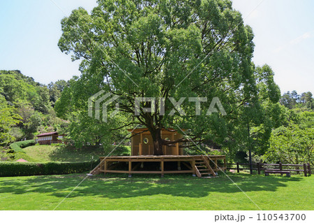 クースの家・ウッドデッキ 岐阜県川辺町山楠公園 クースの家・ウッドデッキ 岐阜県川辺町山楠公園 110543700