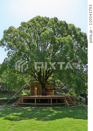 クースの家・ウッドデッキ 岐阜県川辺町山楠公園 クースの家・ウッドデッキ 岐阜県川辺町山楠公園 110543703