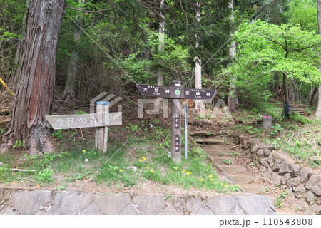 登山道の入口の看板の風景1 110543808