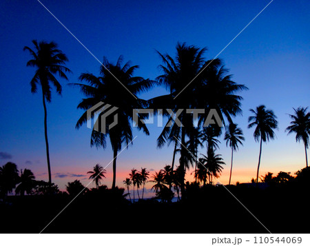 タヒチ・ランギロア環礁・ヤシの木と夕焼け タヒチ・ランギロア環礁・ヤシの木と夕焼け 110544069