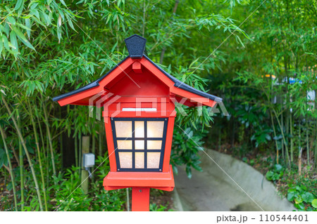 静岡県 来宮神社境内 静岡県 来宮神社境内 110544401