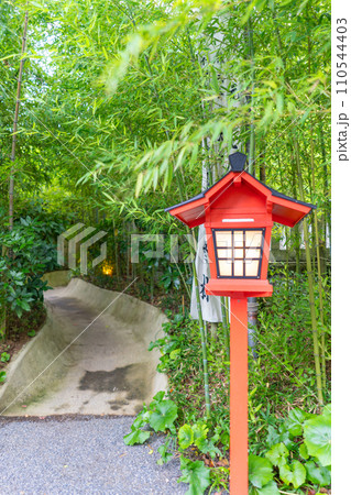 静岡県 来宮神社境内 大楠へと続く道 静岡県 来宮神社境内 大楠へと続く道 110544403