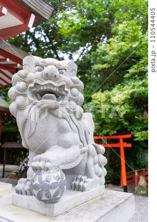 静岡県 来宮神社境内の風景 狛犬 静岡県 来宮神社境内の風景 狛犬 110544405