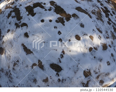 雪に足跡が残る 雪に足跡が残る 110544530