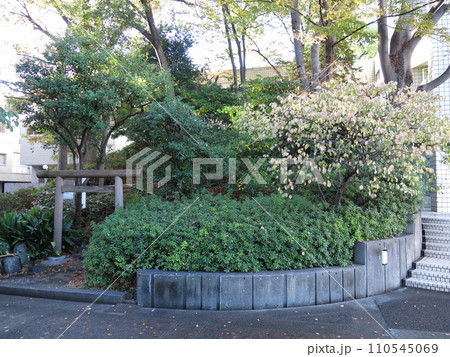 渋谷区の猿楽塚（猿楽神社） 110545069