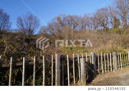 古民家と梅の花と里山と田んぼのある原風景(神奈川県横浜市戸塚区舞岡ふるさと公園) 古民家と梅の花と里山と田んぼのある原風景(神奈川県横浜市戸塚区舞岡ふるさと公園) 110546192