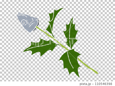 柊沙丁魚的插圖（印刷風格） 110546398