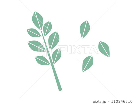 薄緑色でシンプルな枝葉の北欧風イラスト 薄緑色でシンプルな枝葉の北欧風イラスト 110546510