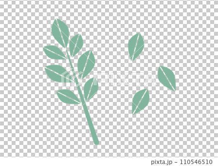 薄緑色でシンプルな枝葉の北欧風イラスト 薄緑色でシンプルな枝葉の北欧風イラスト 110546510