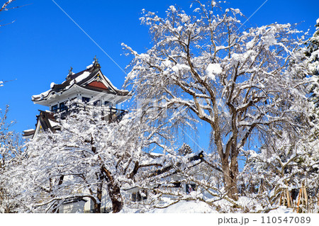 雪化粧した枝垂れ桜と横手城　冬晴れの横手城公園　秋田県 110547089