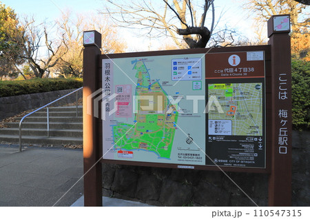 羽根木公園（はねぎこうえん）　梅ヶ丘駅口　 110547315