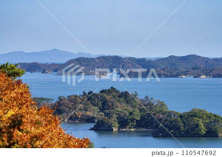 秋の日本三景松島　西行戻しの松公園からの俯瞰　宮城県松島町 110547692