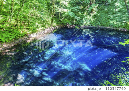 白神山地の青池　青森県深浦町 110547740