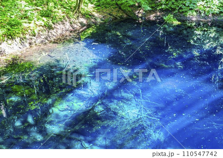 白神山地の青池　青森県深浦町 110547742