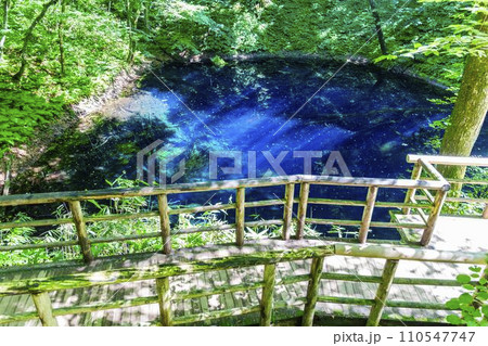 白神山地の青池 青森県深浦町 白神山地の青池 青森県深浦町 110547747