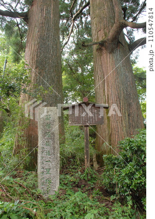 葭原久保(箱根)一里塚(神奈川県足柄下郡箱根町) 110547814